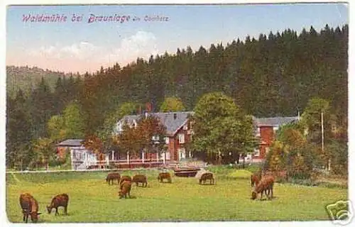 03485 Ak Waldmühle bei Braunlage im Oberharz um 1910