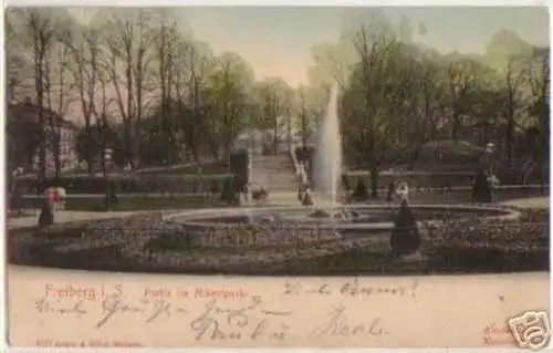 04850 Ak Freiberg in Sachsen Partie im Albertpark 1904