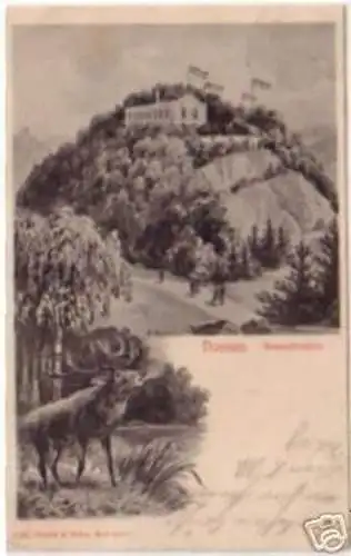 17012 Ak Nossen Bergschlösschen mit Hirsch 1906