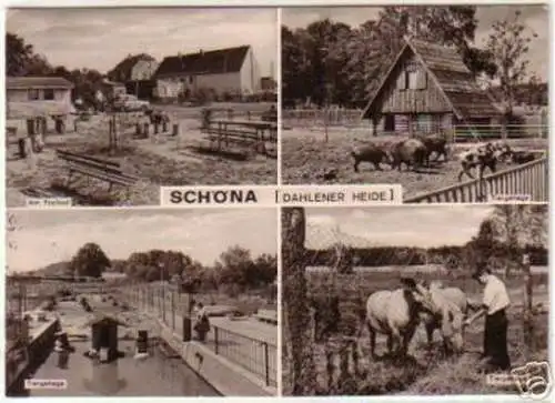 12915 Mehrbild Ak Schöna Dahlener Heide 1982