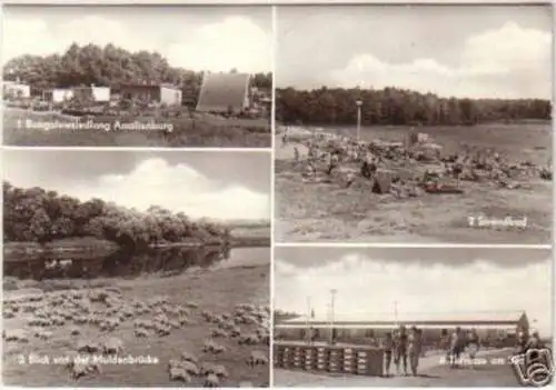 10942 Mehrbild Ak Naherholungsgebiet Thümmlitzsee 1983