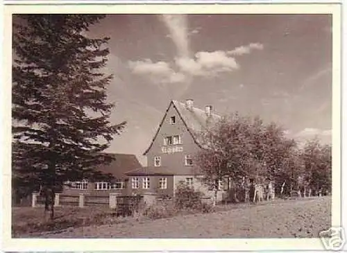 11706 Ak Waldidylle Fremdenhof und Cafe "Zugspitze"