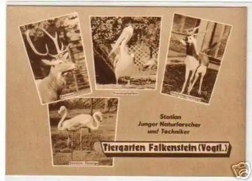 06847 Ak Tiergarten Falkenstein im Vogtland um 1970