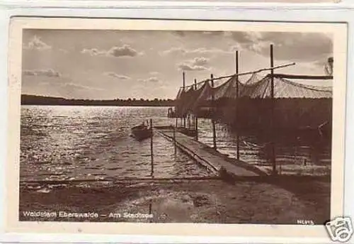 15367 Ak Waldstadt Eberswalde am Stadtsee 1954