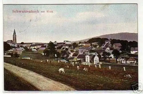 10788 Ak Schwarzenbach am Wald Totalansicht 1912