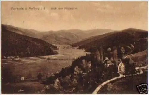 10784 Ak Günterstal bei Freiburg im Breisgau 1910