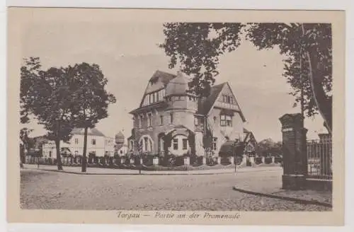 63854 Ak Torgau - Partie an der Promenade 1918