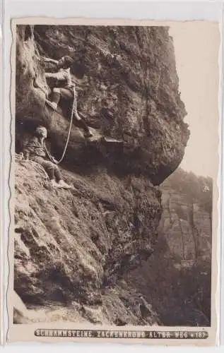 902631 Ak Sächs. Schweiz - Schrammsteinbaude, Blick auf Schrammsteine