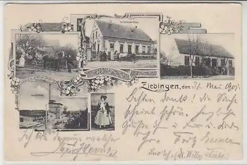 43360 Mehrbild Ak Ziebingen Gasthaus usw. 1901