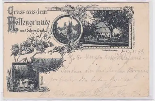 90551 Mehrbild Ak Gruß aus dem Höllengrunde und Schweidnitz Swidnica 1899