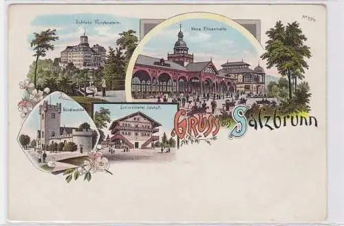 88463 Ak Lithographie Gruss aus Salzbrunn Szczawno-Zdrój um 1900