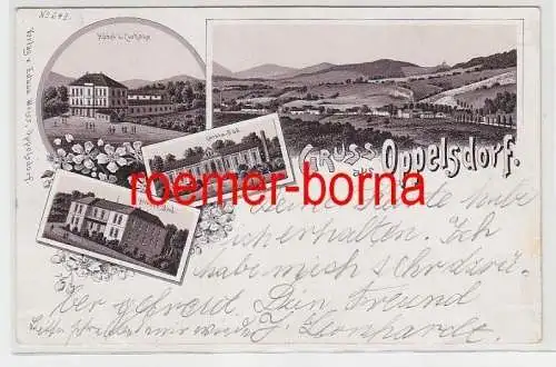 73179 Ak Lithografie Gruss aus Oppelsdorf Opolno-Zdrój Hotel usw. 1906