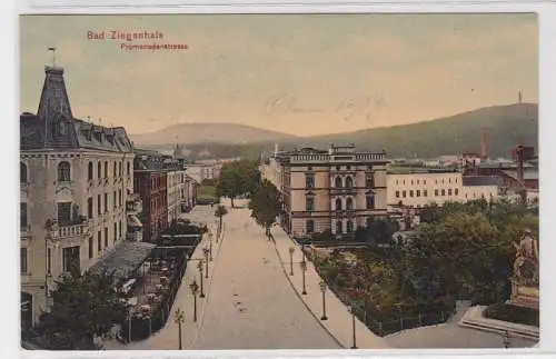 72601 Ak Bad Ziegenhals Glucholazy Promenadenstrasse 1907