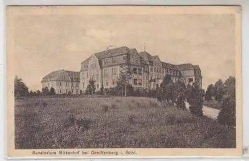 48714 Ak Sanatorium Birkenhof bei Greiffenberg in Schl.