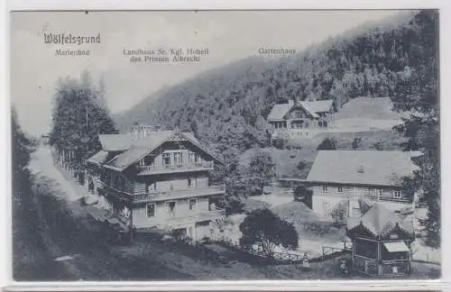 47461 Mehrbild Ak Wölfesgrund Marienbad, Landhaus, Gartenhaus 1916