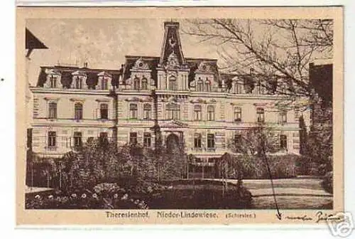 05952 Ak Nieder Lindewiese Schlesien Theresienhof 1925