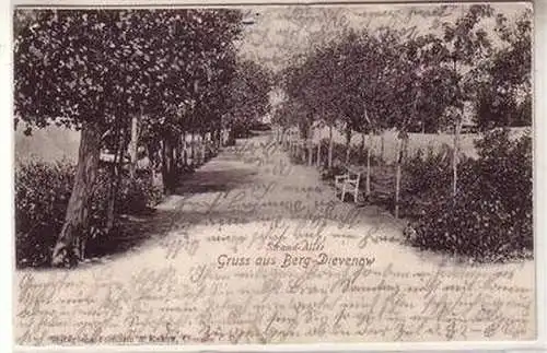 54095 Ak Gruß aus Berg-Dievenow Strand-Allee 1903