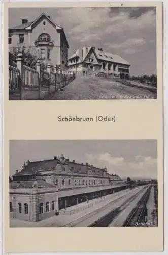 21760 Mehrbild Ak Schönbrunn (Oder) Svinow Bahnhof usw. 1941