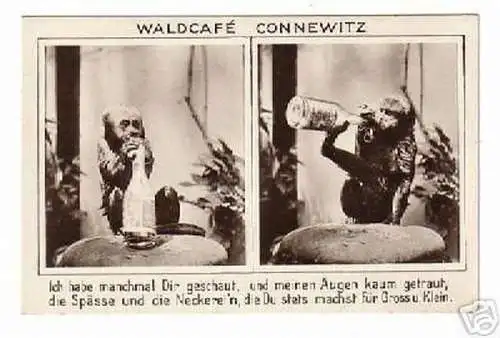 seltene Ak Waldcafe Leipzig Connewitz um 1930