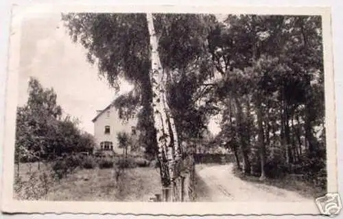 schöne Ak Luftkurort Schmannewitz Dahlen Pension 1950