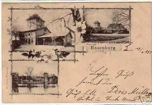 schöne Ak Gruss aus Hasenburg bei Lüneburg 1899