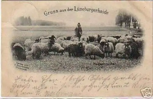 schöne Ak Gruss aus der Lüneburgerhaide 1899