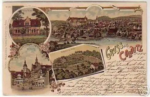 schöne Ak Gruss aus Colditz Luisa Heim usw. 1893