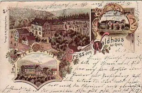 schöne Ak Gruss aus dem Waldhaus bei Greiz 1899