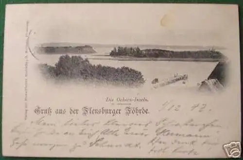 schöne Ak Gruß aus der Flensburger Föhrde 1897