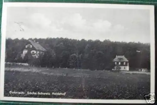 schöne Ak Gohrisch sächs.Schweiz Haidehof 1936