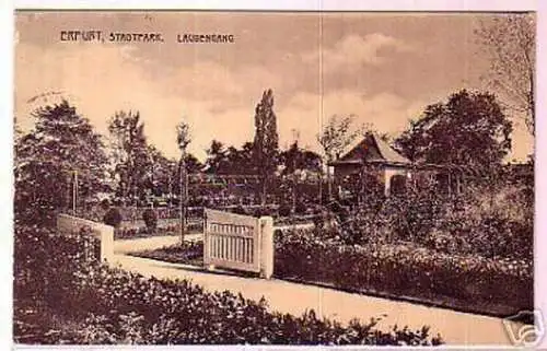 schöne Ak Erfurt Stadtpark Laubengang 1919