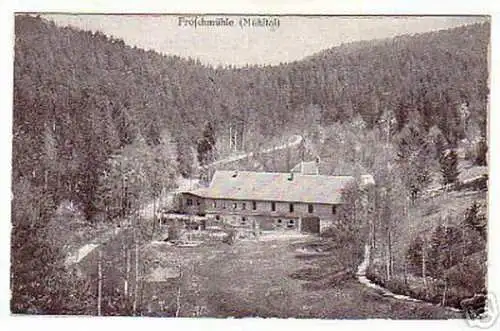 schöne Ak Froschmühle im Mühltal um 1920