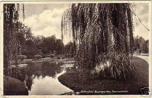 schöne Ak Bitterfeld Rosengarten Seerosenteich 1939