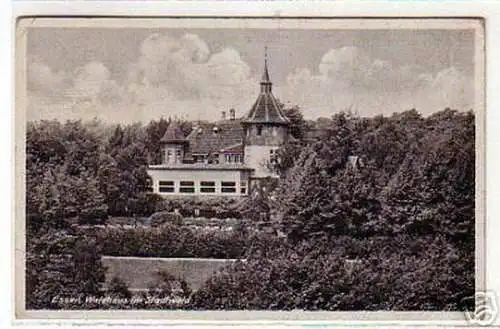 05725 Ak Essen Waldhaus im Stadtwald um 1940