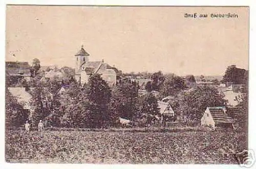 05542 Ak Gruß aus Bieberstein Totalansicht 1921