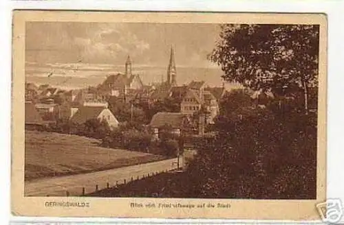 05689 Ak Geringswalde Blick vom Friedhofsweg 1917