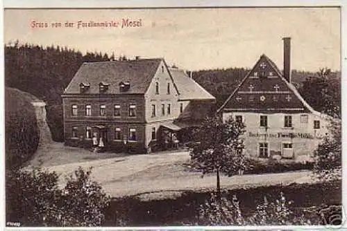 04704 Ak Gruß von der Forellenmühle Mosel 1907