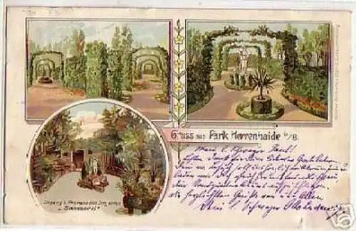 04310 Ak Gruss aus Park Herrenhaide bei Burgstädt 1905