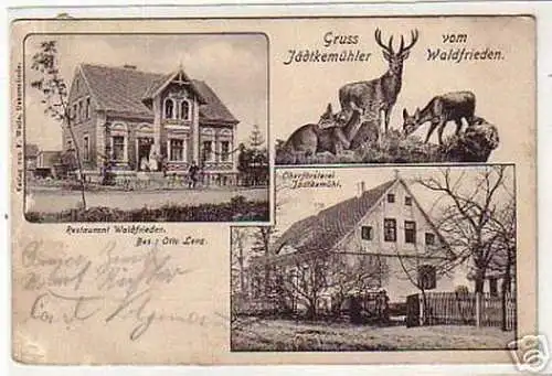 03694 Ak Gruß vom Jädtkemühler Waldfrieden 1908