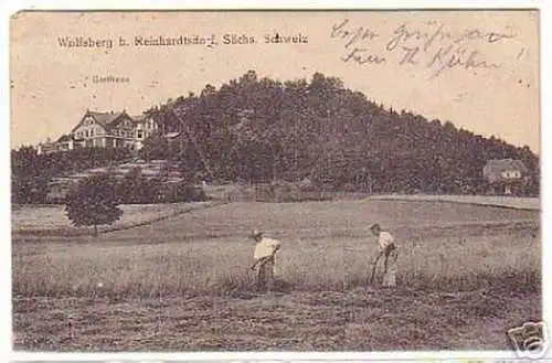 03206 Ak Wolfsberg bei Reinhardtsdorf Gasthaus 1921