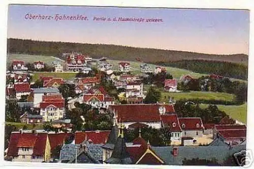 03303 Ak Oberharz Hahnenklee Hauptstrasse um 1920