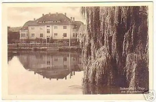 02100 Ak Schmölln Thür. am Brauereiteich um 1940