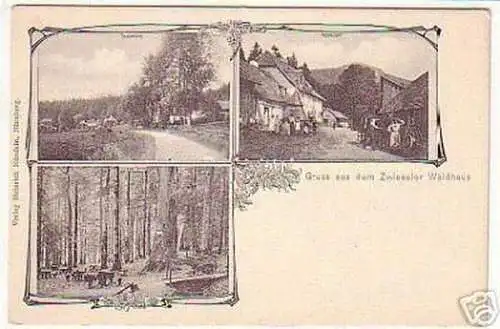 02131 Ak Gruß aus dem Zwieseler Waldhaus um 1900