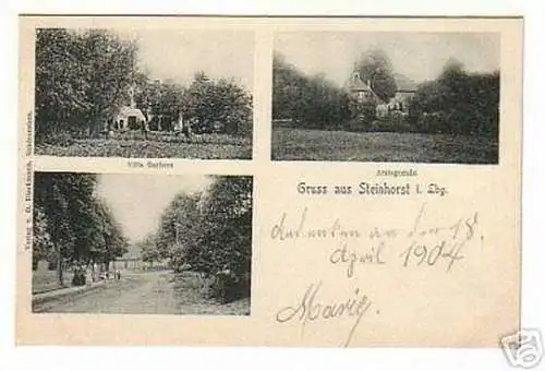 02139 Ak Gruss aus Steinhorst in Lbg. um 1900