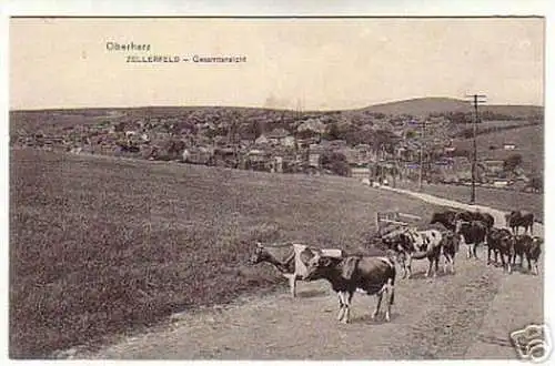 00903 Ak Oberharz Zellerfeld Gesamtansicht um 1900