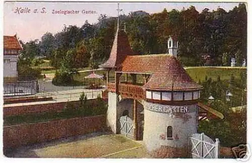 00787 Ak Halle a.S. Zoologischer Garten um 1915