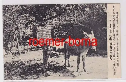 85646 Ak Scharbeutz Wald-Café Waldburg An der Wolfsschlucht um 1925