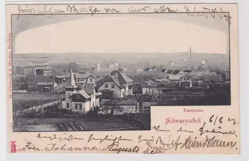 85881 Ak Schwarzenbek Panorama 1903