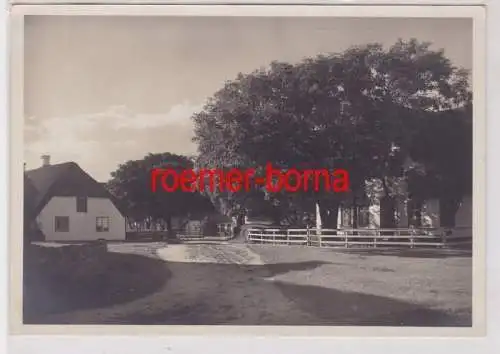 84993 Foto Ak Keitum auf Sylt Dorfstraße um 1940