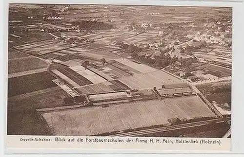 67532 Werbe Ak Zeppelin Aufnahme Halstenbek Forstbaumschulen Firma Pein um 1930